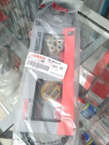 Vanbelt Kit Mio J 54P YGP