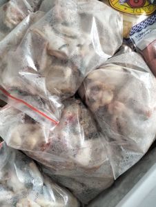 Ayam kampung jago