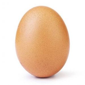 TELUR AYAM