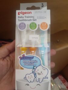 Pigeon baby training isi 3