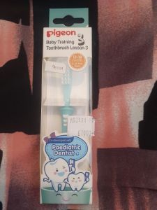 Pigeon baby training lesson 3