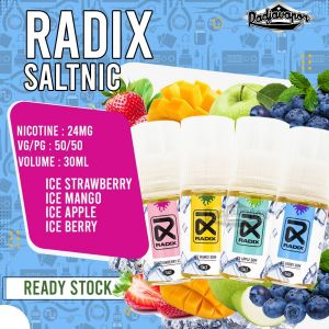 RADIX SALT 30ML
