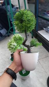 POHON BONSAI PLASTIK/ HIJAU
