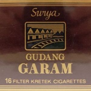 SURYA 16