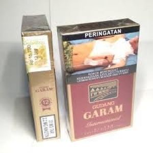 Gudang garam filter