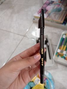 Pilot BPT-P