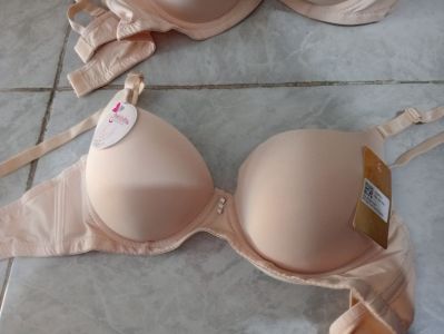 BH Tally Push Up Bra Cream
