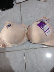 BH Sorex Size 38/85 Cream