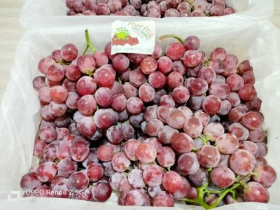 anggur red globe krat