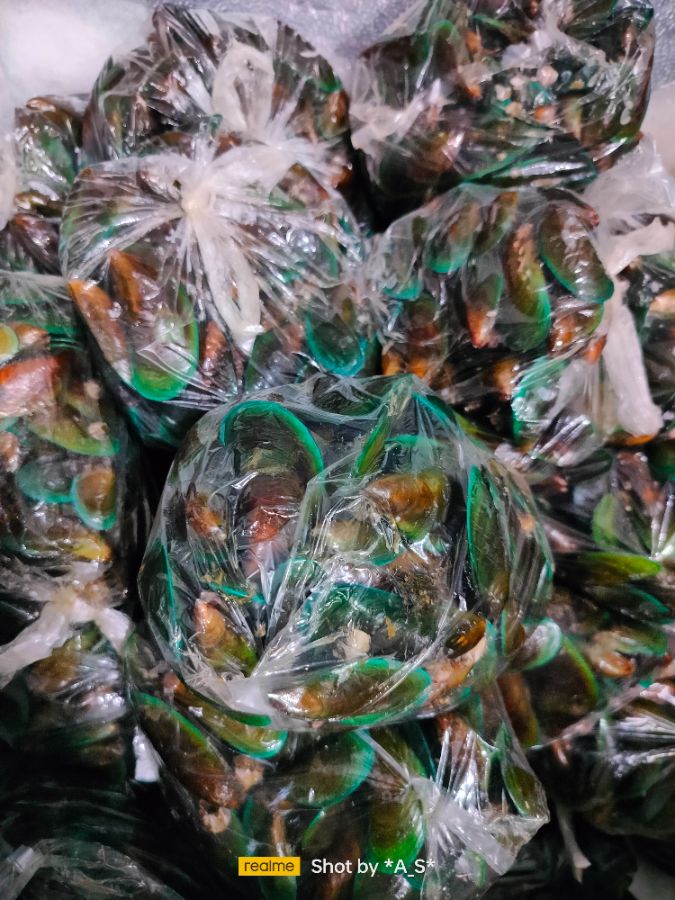 Kerang ijo 