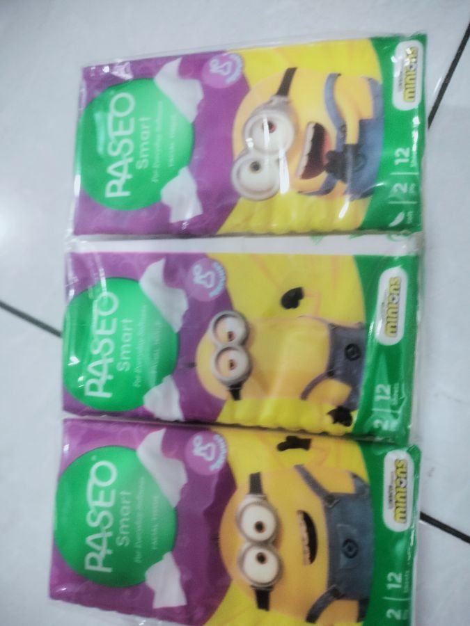 Tisu Paseo 12 Sheets 