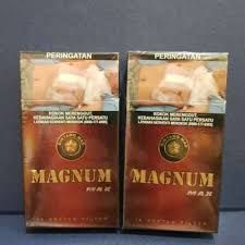 Magnum Max 20