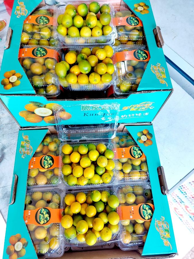Jeruk kimkit