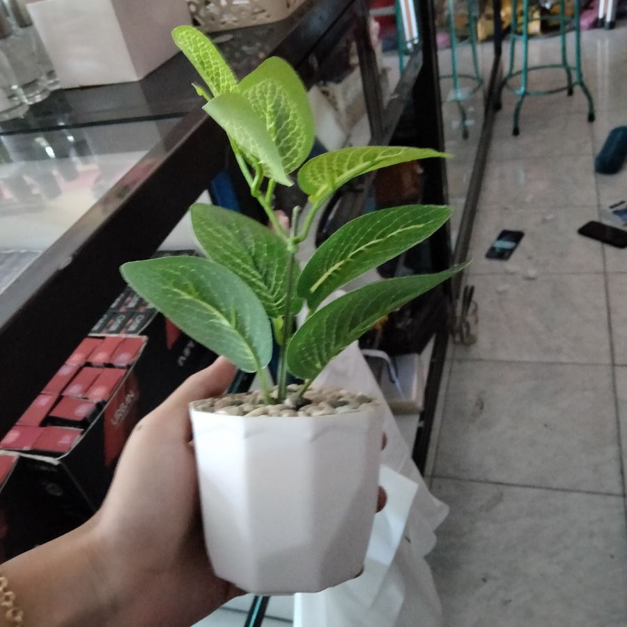 Bunga Hias+ Pot 8cm
