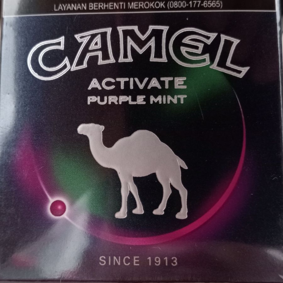 CAMEL CONNECT ACTIVATE PURPLE MINT 20