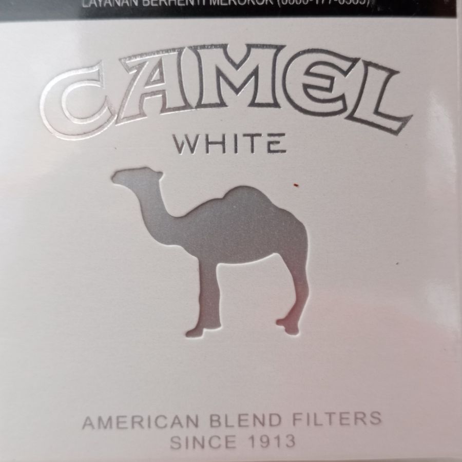CAMEL WHITE