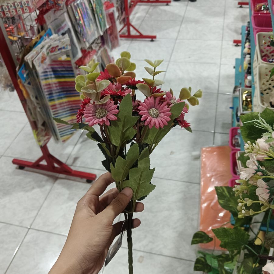 Bunga Mini Daisy