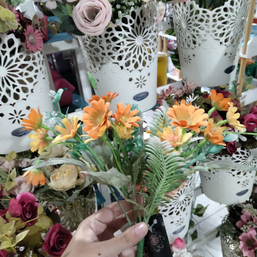 Bunga Aster Orange