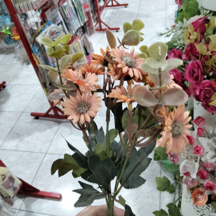Bunga Minidaisy