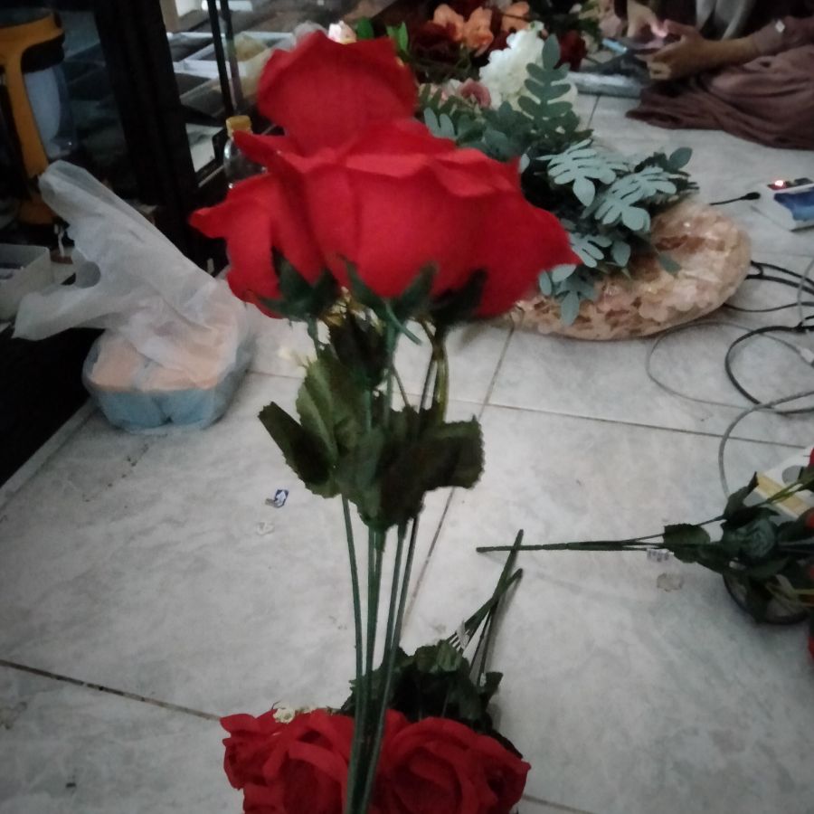Bunga Rose Tropis 
