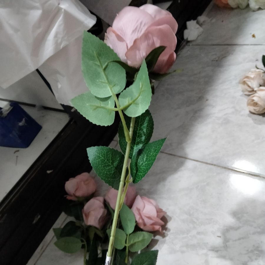 Bunga rose bludru Coklat muda