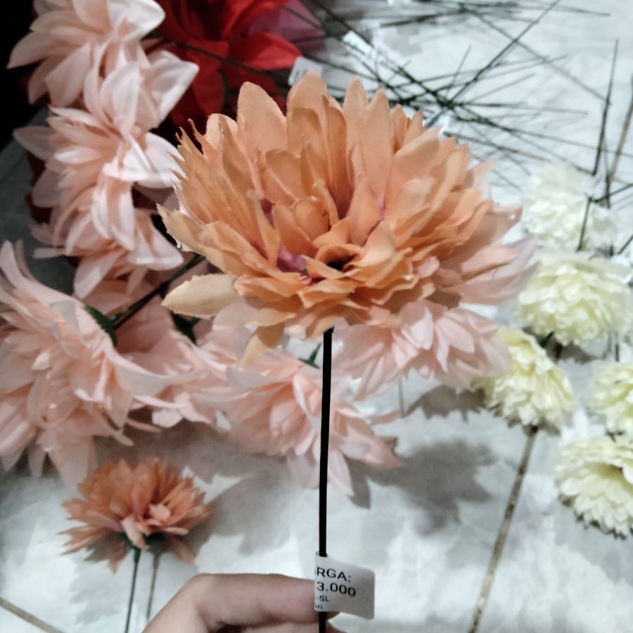 Bunga rose dandelion salem