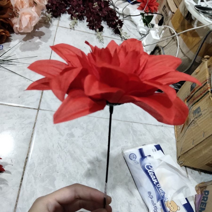 Bunga krisan jumbo merah