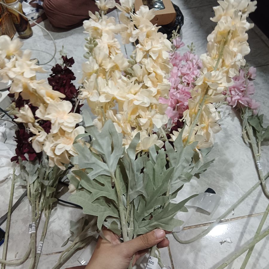 Bunga Delphinium Spring Peach