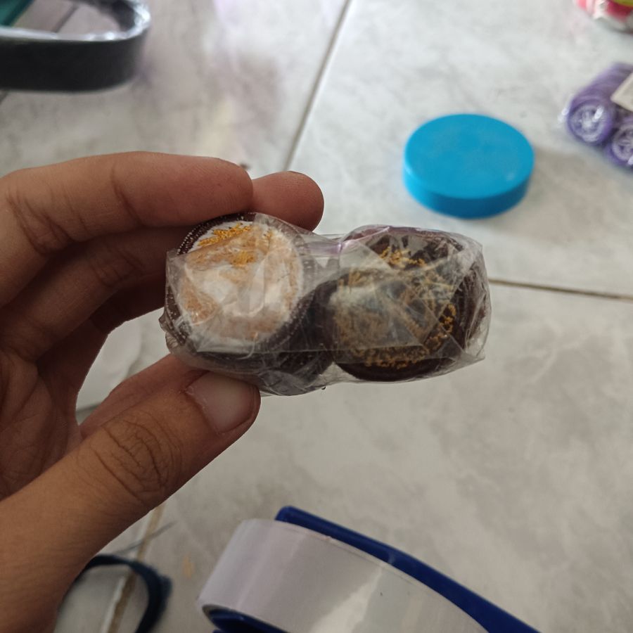 Bet Tanda Pelantikan Putri