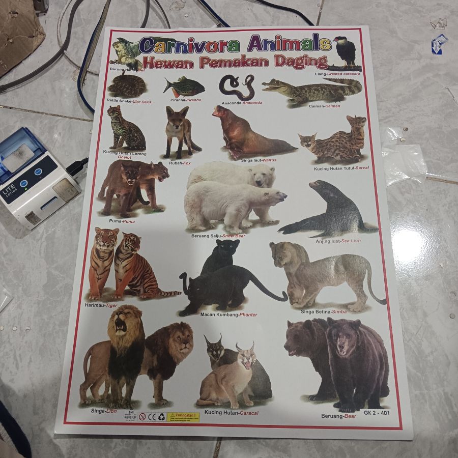 Poster Hewan Carnivora
