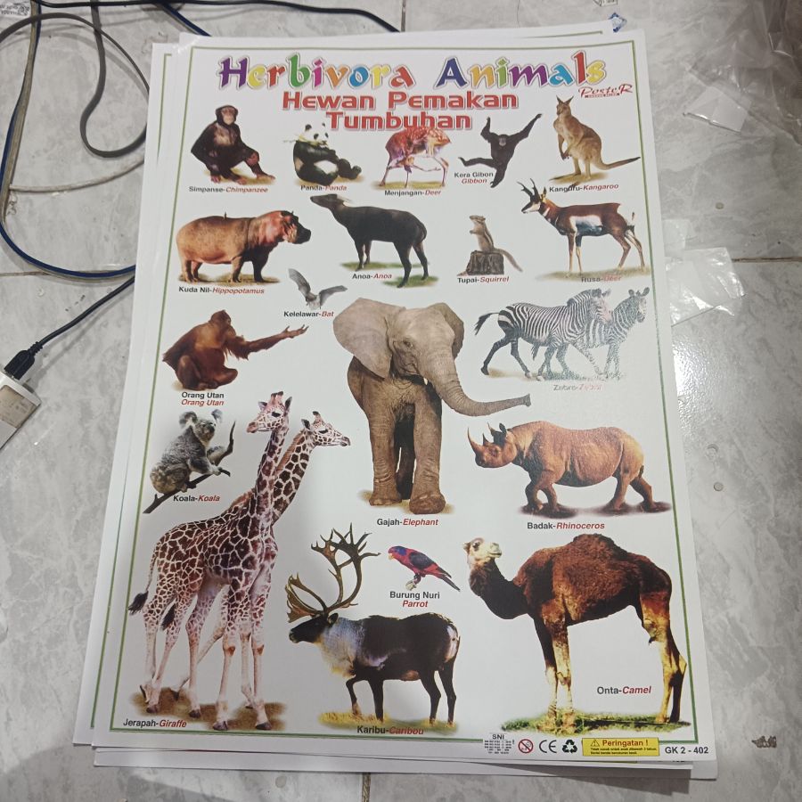 Poster Herbivora