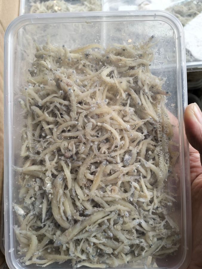 Teri Medan 200gr