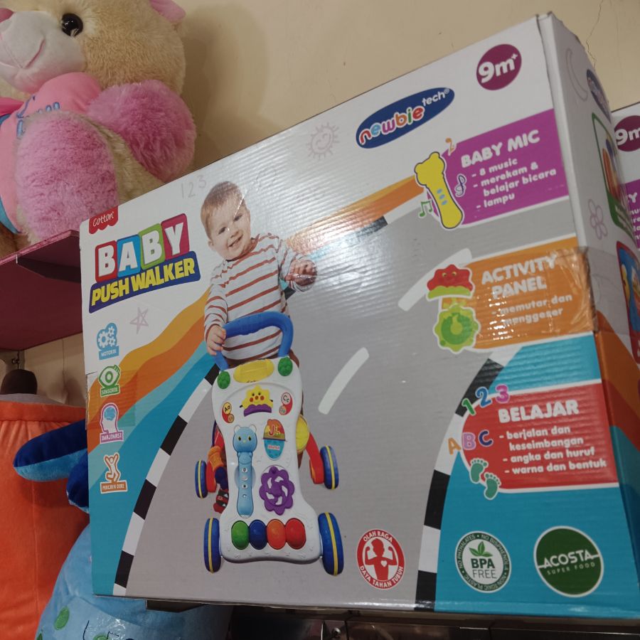 Baby Push Walker 9m+