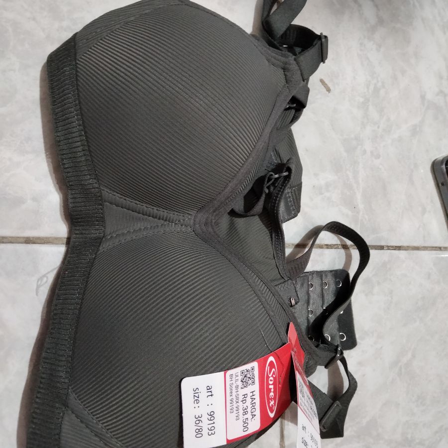 BH sorex 99183