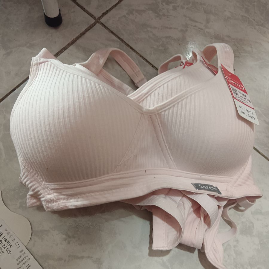 BH Sorex 99175