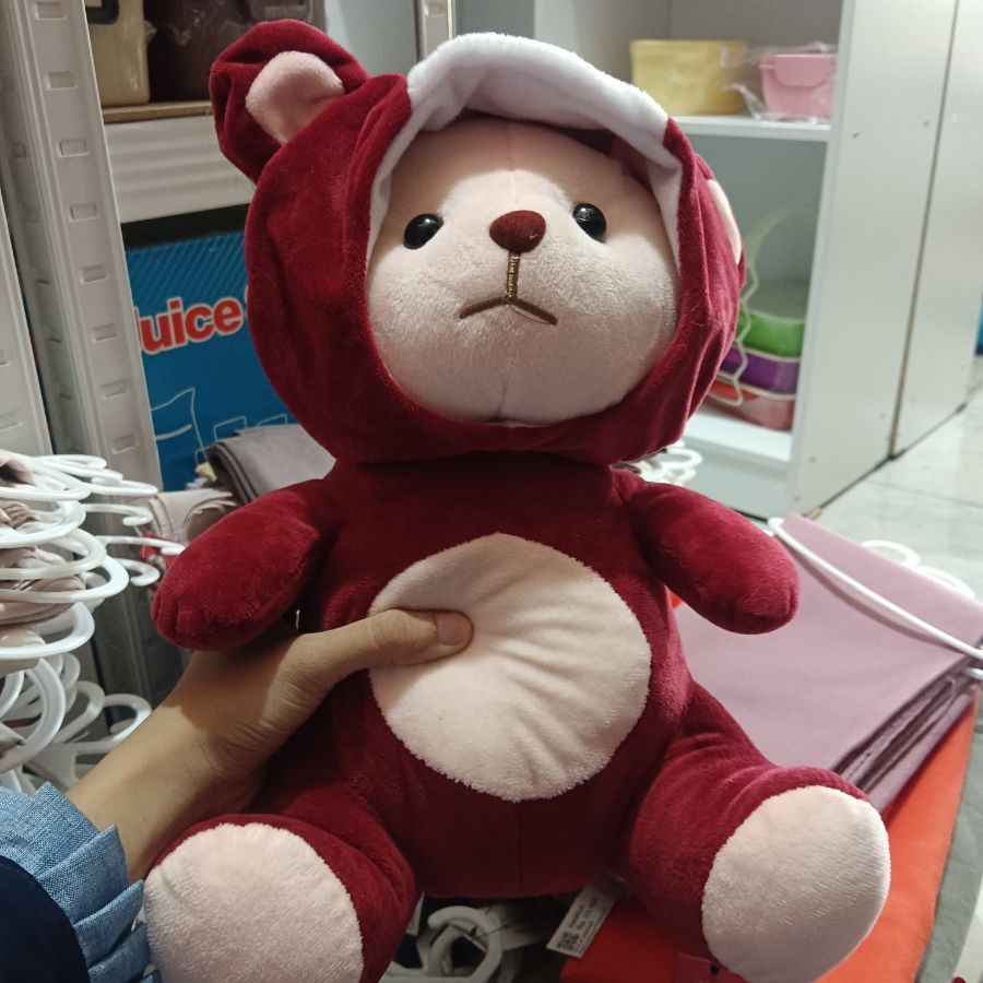 Boneka Beruang Hoodie/M
