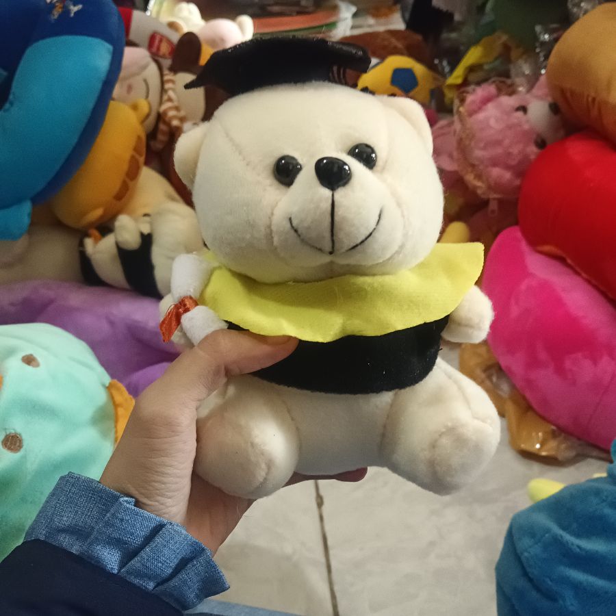Boneka Wisuda/S