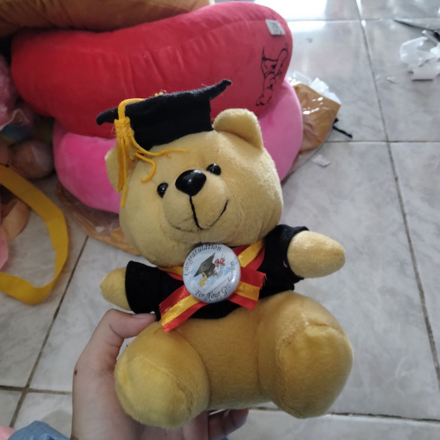 Boneka Bear Toga S