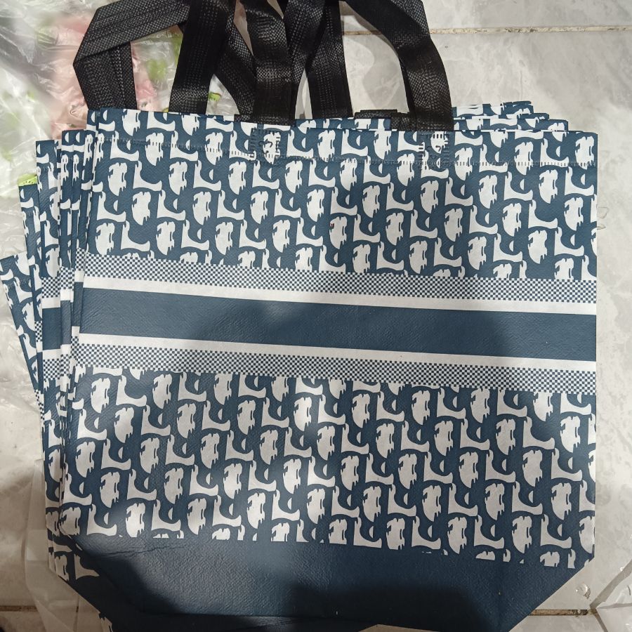 Tas Spunbond Dior Kecil