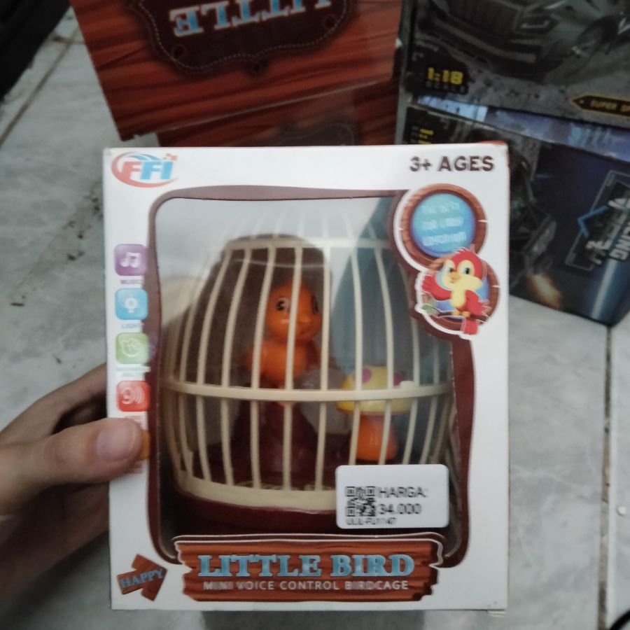 Little Bird
