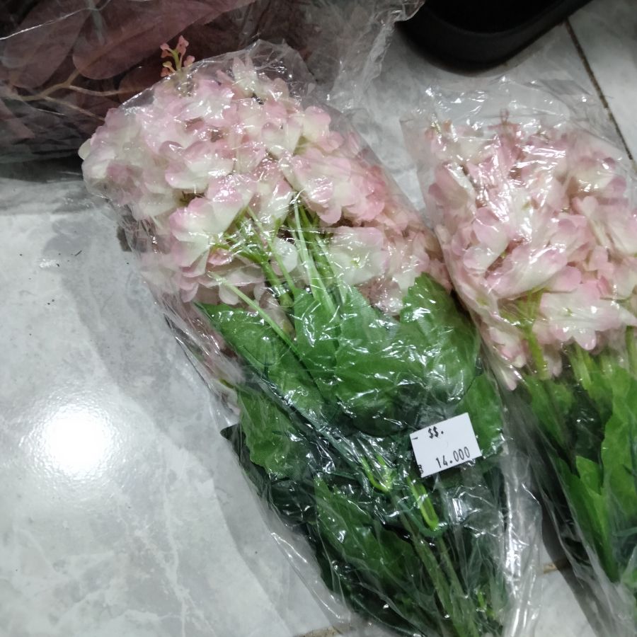 bunga hias 
