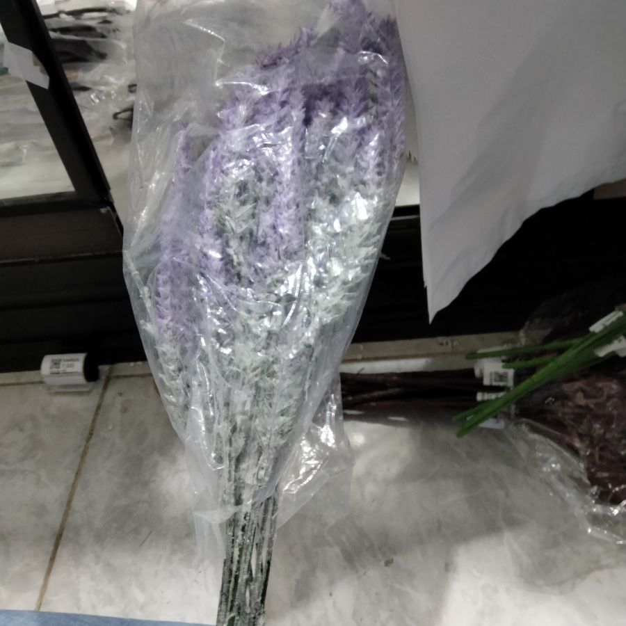 daun hias