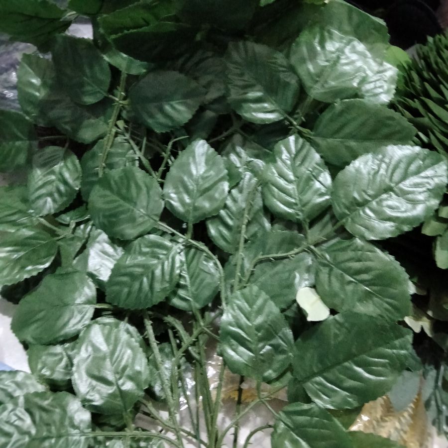 daun hias