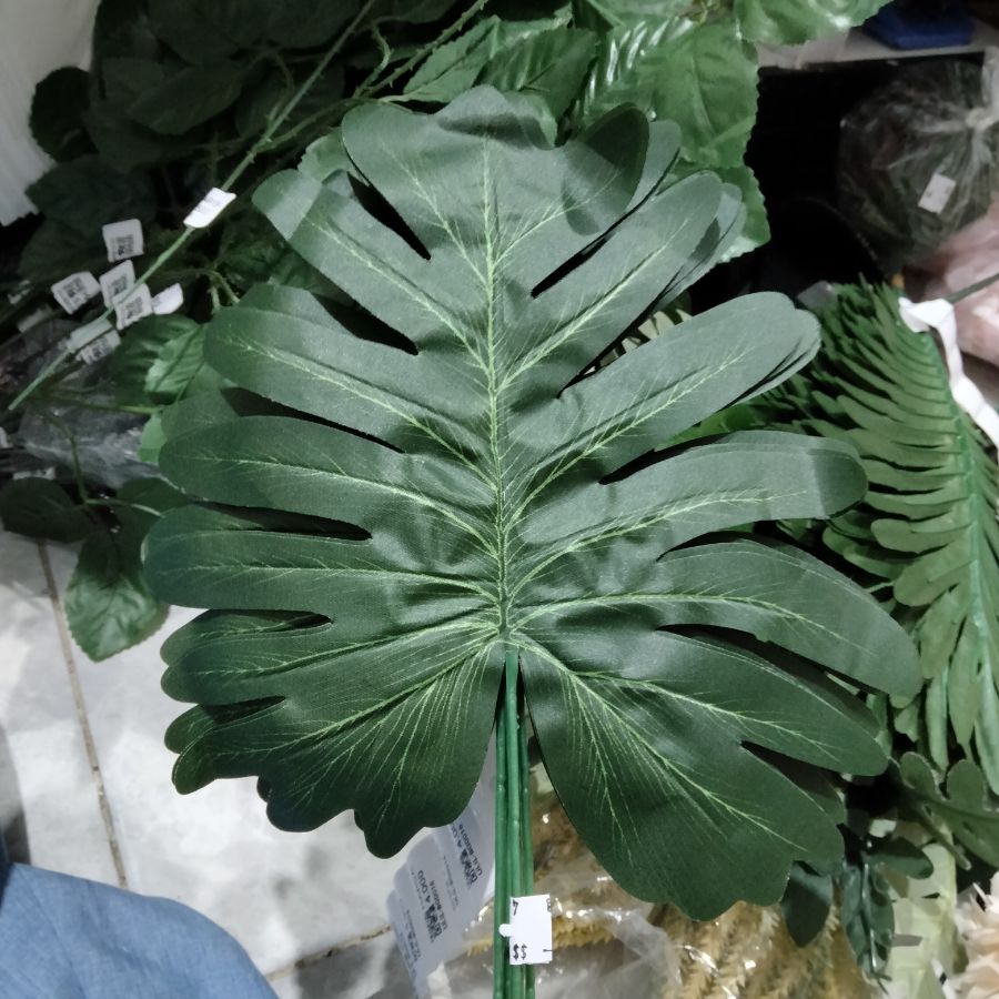 daun hias