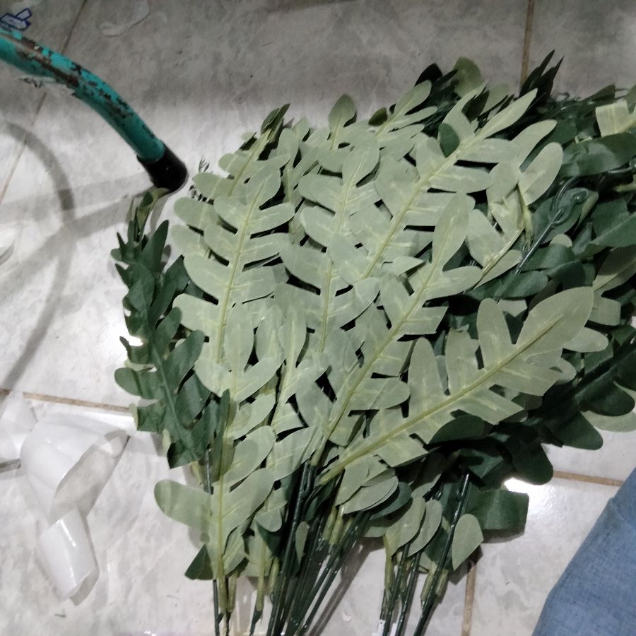 daun hias