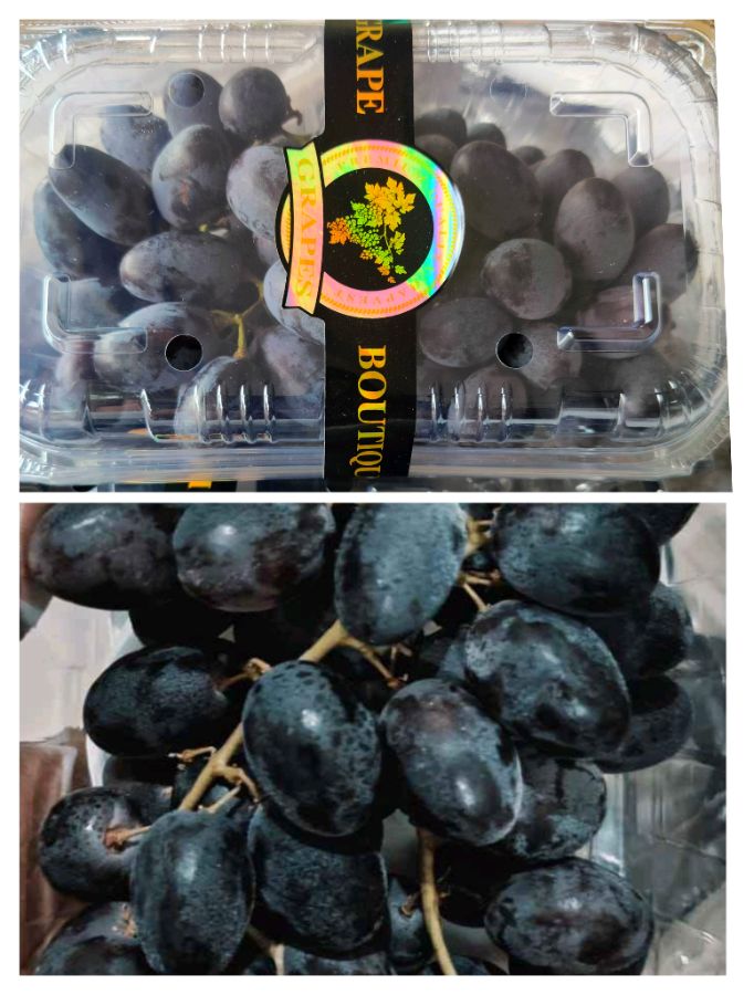 Anggur hitam kantong