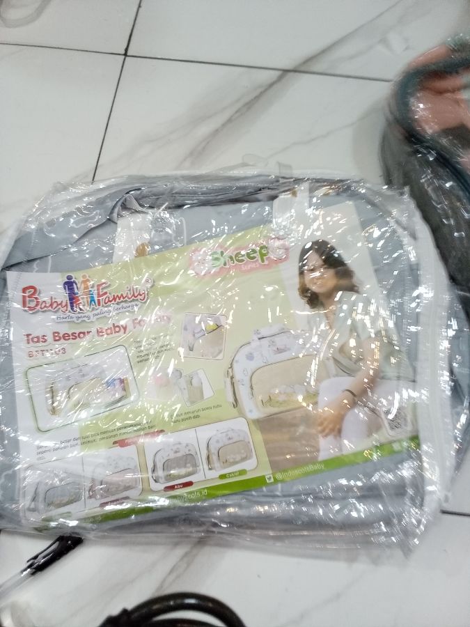 Tas b family sheep