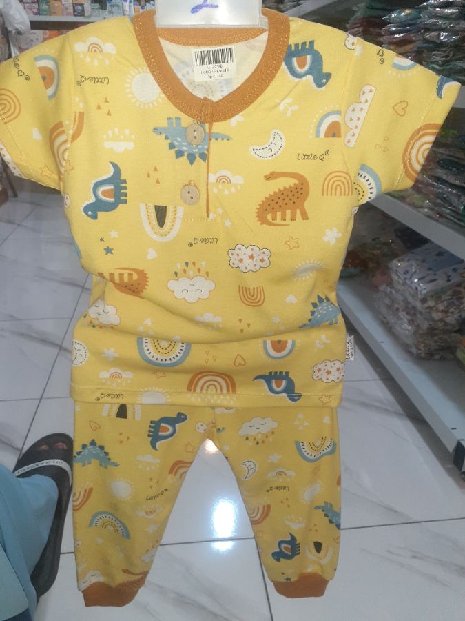 Little q pdpj motif S