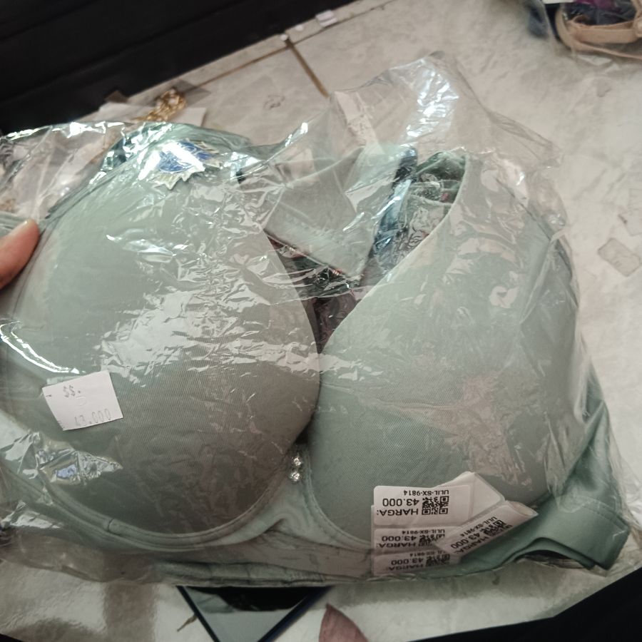 BH Sorex 9814