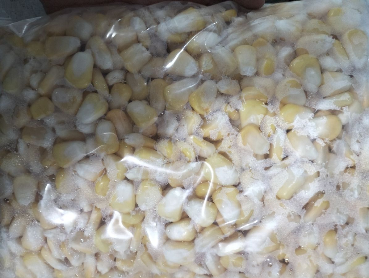 Jagung pipil
